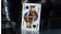 【USPCC撲克】B-Roll Playing Cards -S103049541