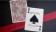 【USPCC撲克】Red Labyrinth Playing Cards-S103049722