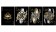 【USPCC撲克】DOTA 2 Deluxe Playing Cards (Black)-S103049741