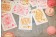 【USPCC撲克】冰淇淋 playing cards-S103049388